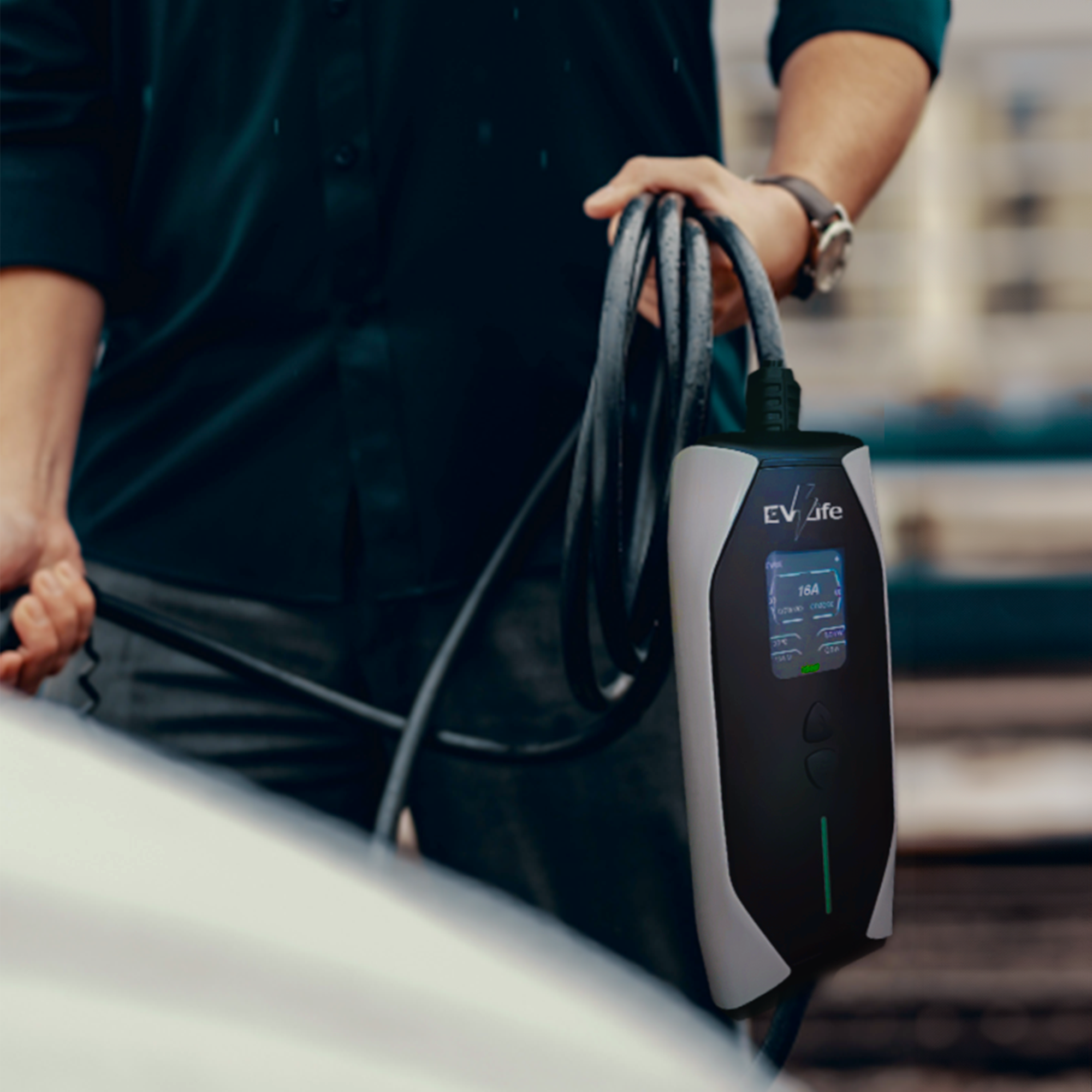 EVLife Panda (Good Value)