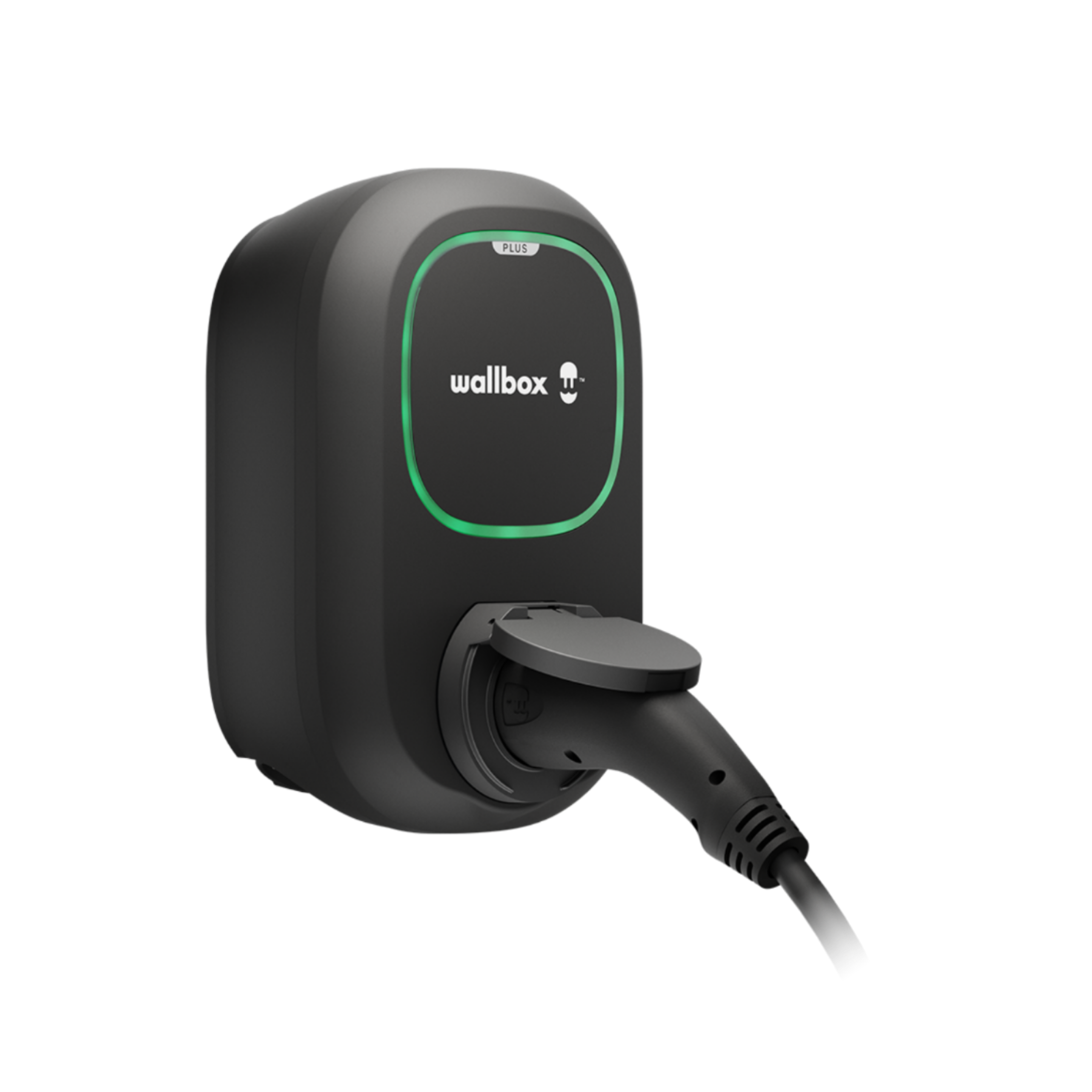 wallbox Pulsar Plus Socket